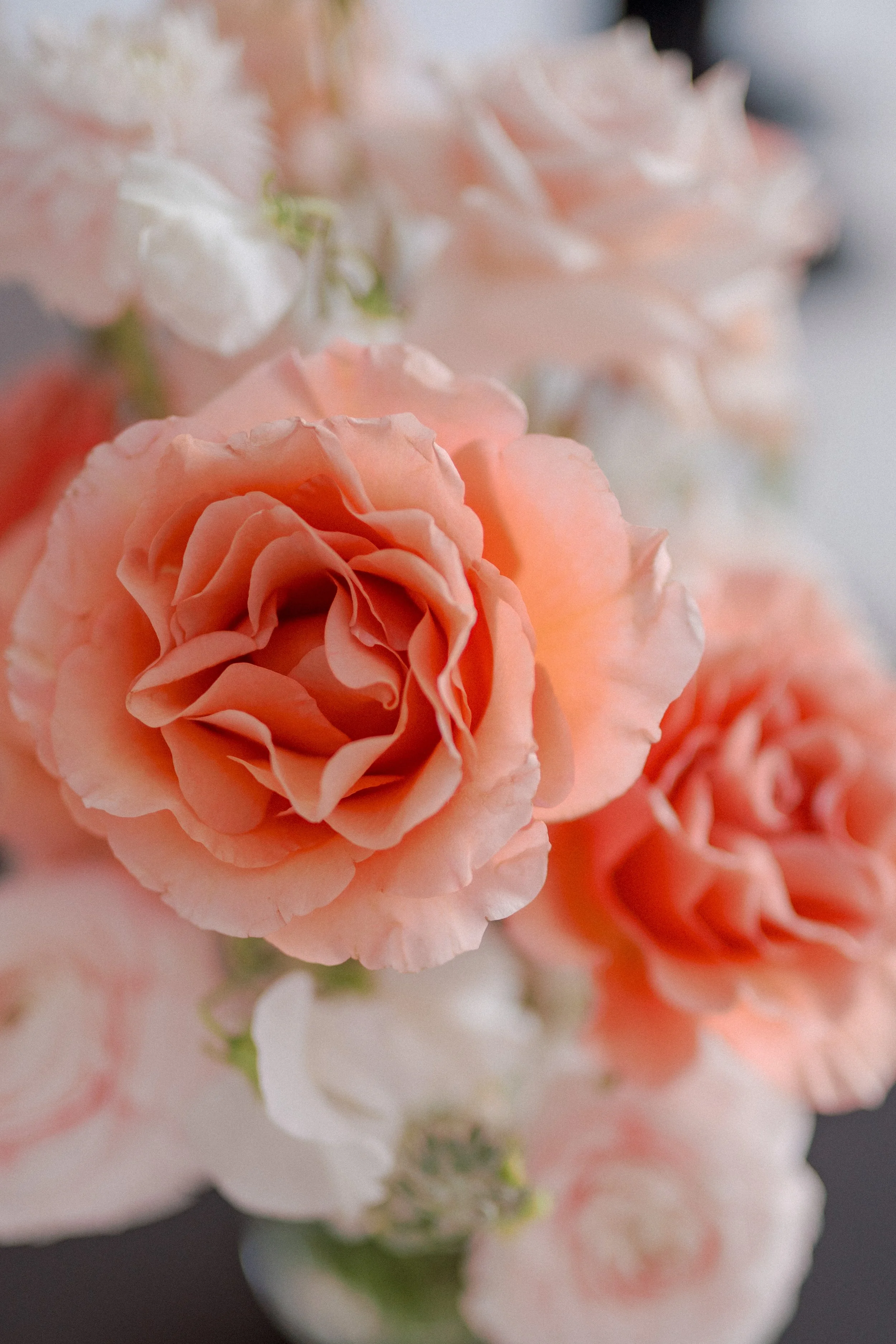 2024 Bridal Trends