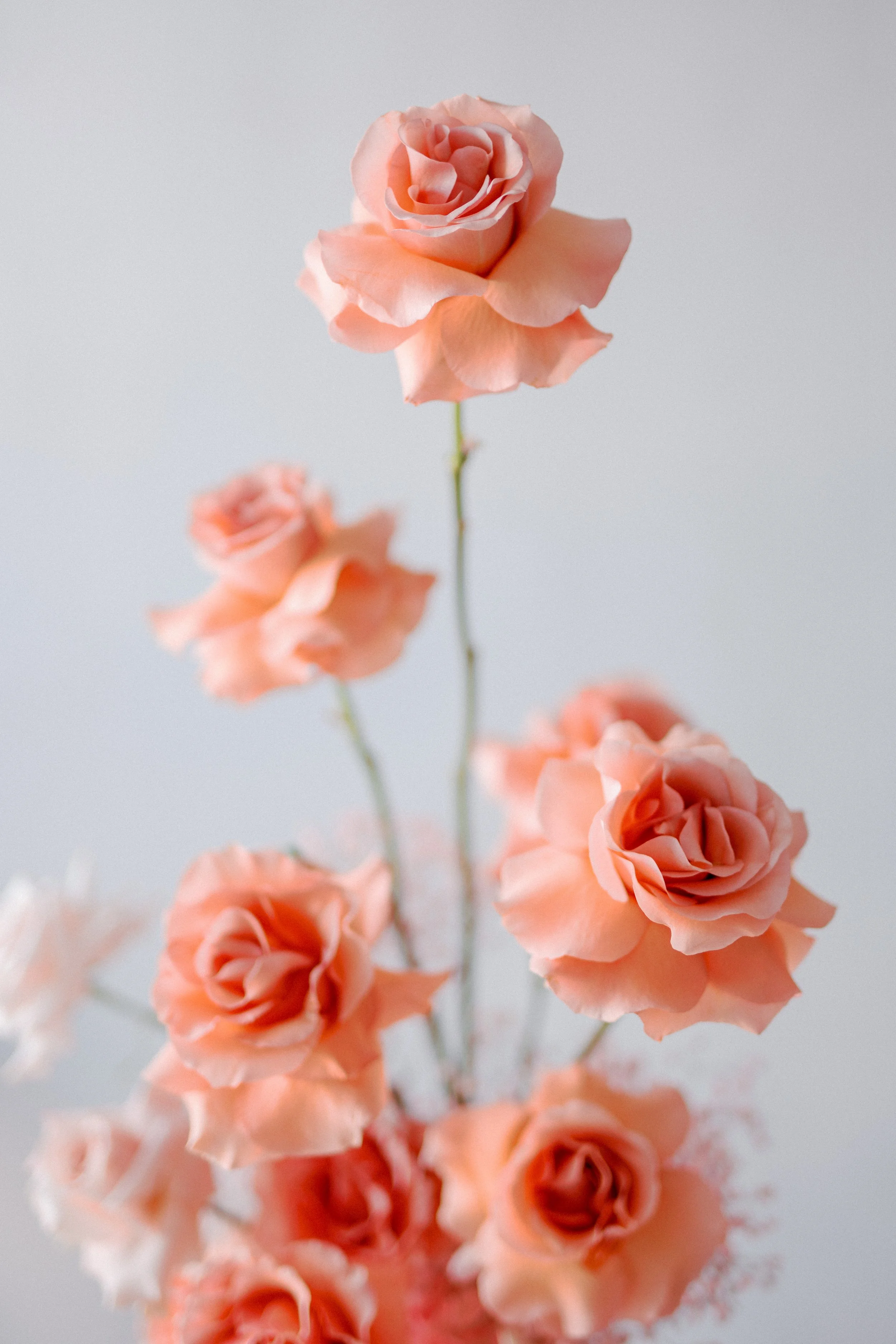 2024 Bridal Trends
