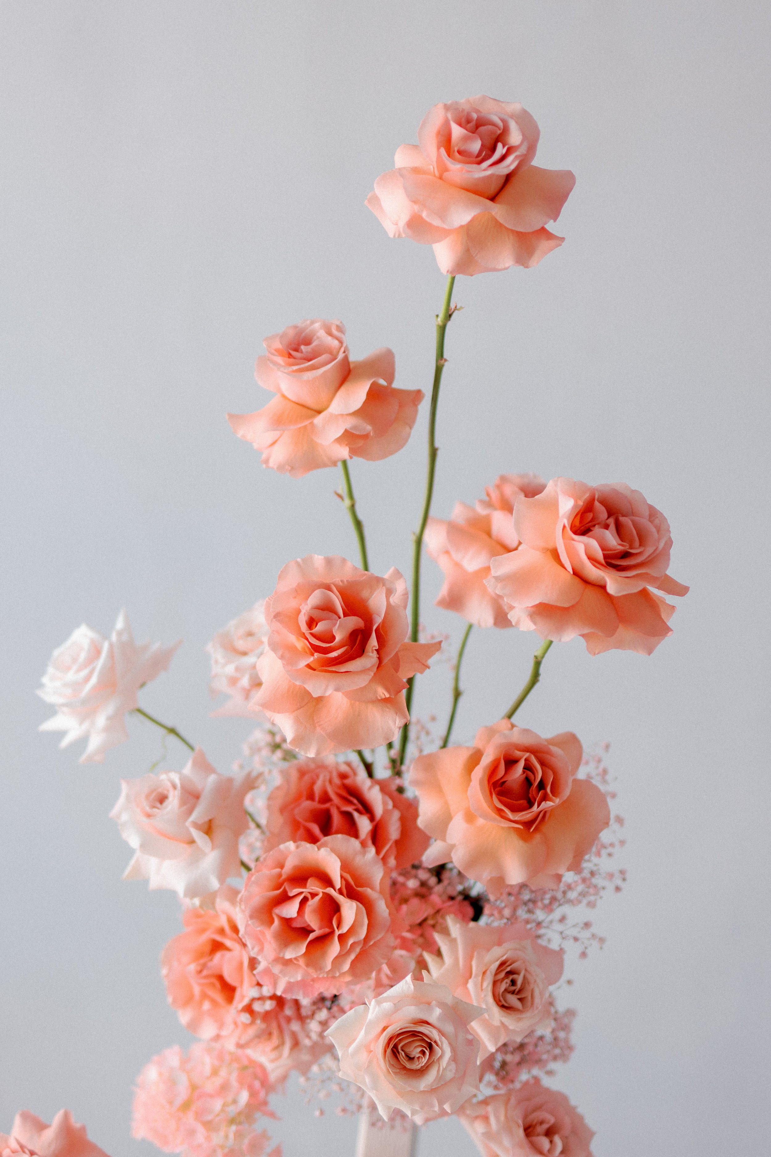 2024 Bridal Trends