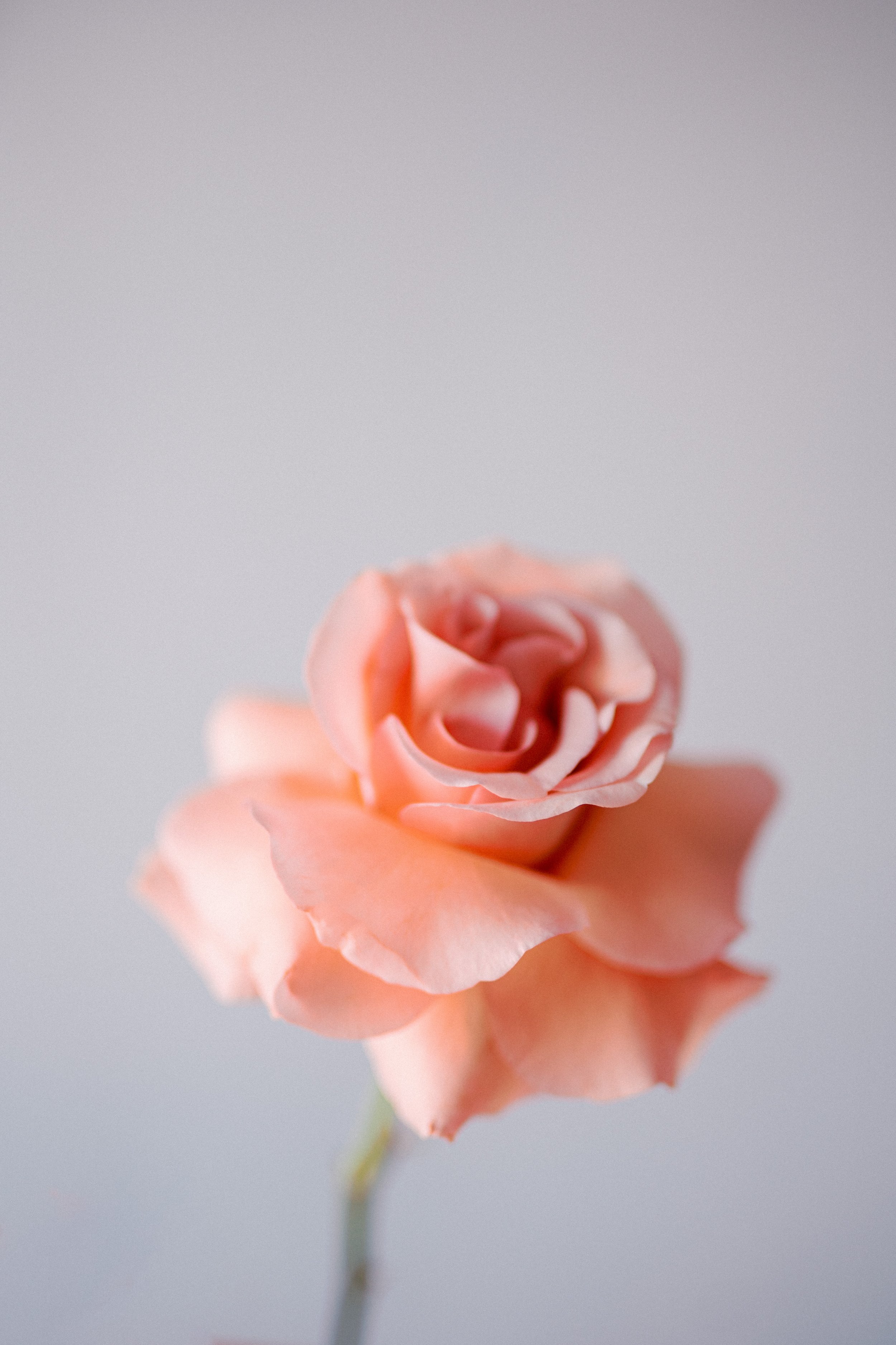 2024 Bridal Trends