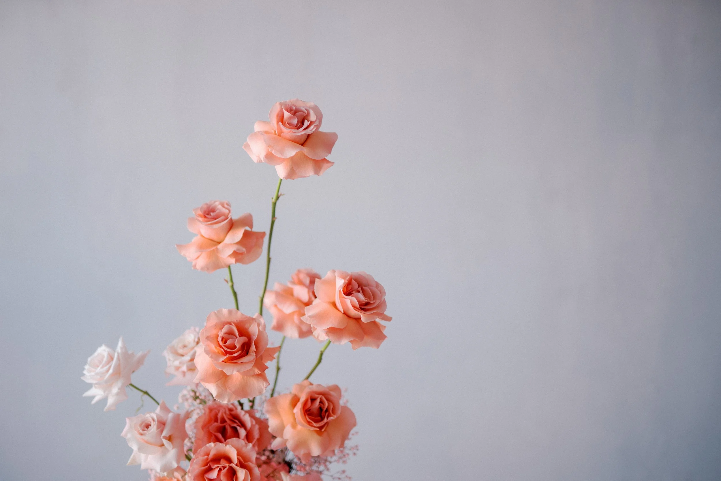 2024 Bridal Trends