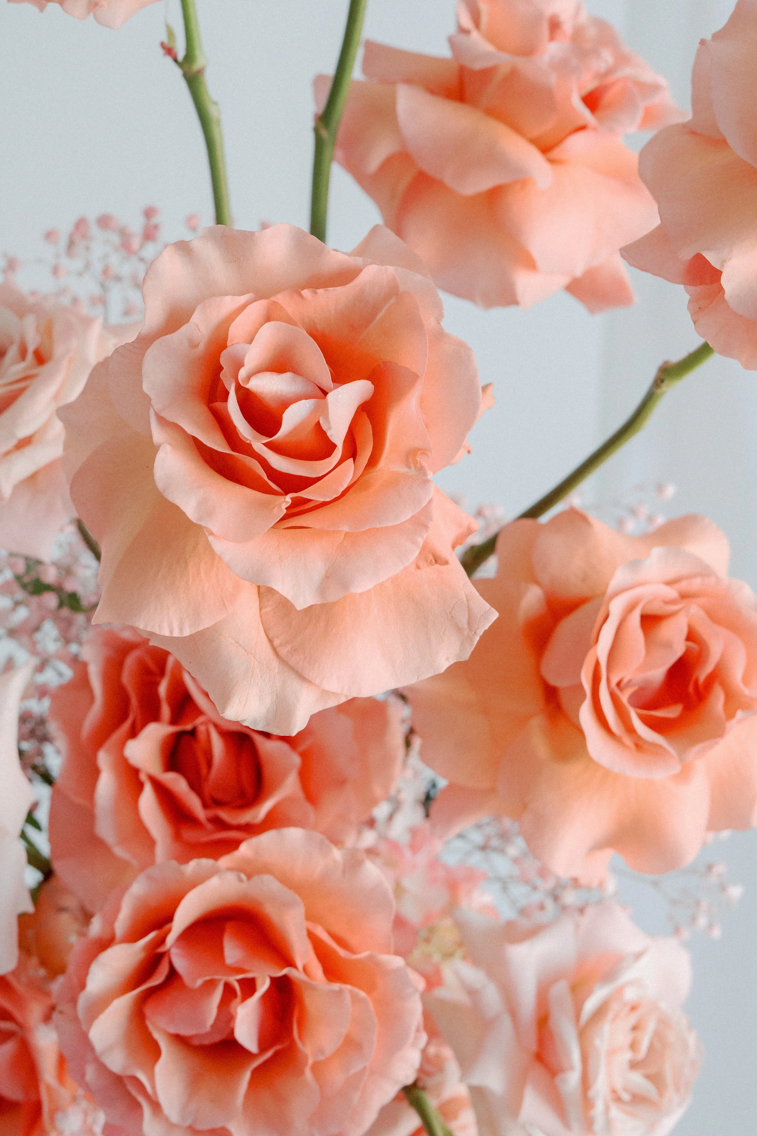 2024 Bridal Trends